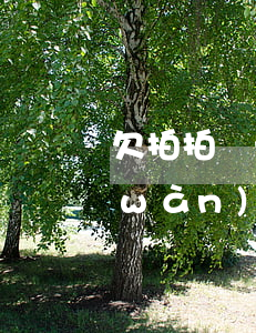 欠拍拍貸一萬(wàn)幾年(拍拍貸兩萬(wàn)還不起判多少年)