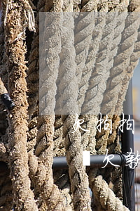 欠拍拍貸一萬塊錢會(huì)坐牢嗎(拍拍貸欠款2萬9千塊不還的后果是什么?)