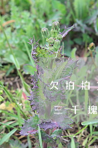 欠拍拍貸一萬會(huì)坐牢嗎(欠拍拍貸三千塊一年多了會(huì)不會(huì)被法院起訴)
