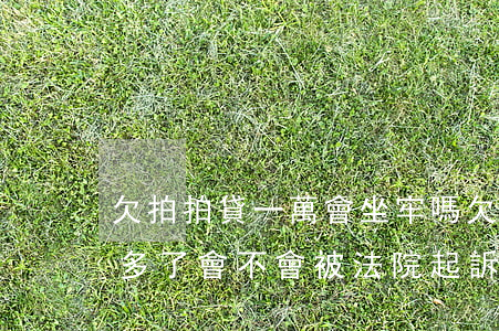 欠拍拍貸一萬會坐牢嗎(欠拍拍貸三千塊一年多了會不會被法院起訴)