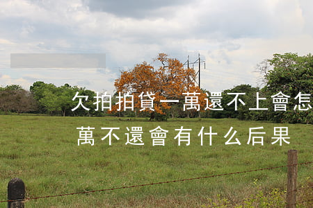 欠拍拍貸一萬還不上會怎么樣(拍拍貸貸款一萬不還會有什么后果)