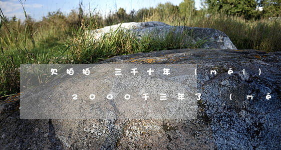 欠拍拍貸三千十年沒(méi)還(欠款拍拍貸2000千三年了沒(méi)能還上怎么辦)
