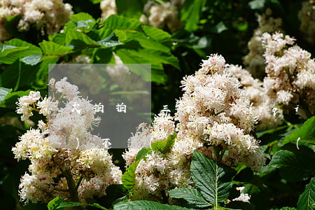 欠拍拍貸三千塊錢(qián)會(huì)不會(huì)強(qiáng)制上門(mén)(欠拍拍貸一千多,說(shuō)要上門(mén)是真的嗎?)