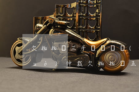欠拍拍貸三千塊錢說網(wǎng)絡(luò)仲裁(欠拍拍貸五千塊錢立案起訴我是真的嗎)