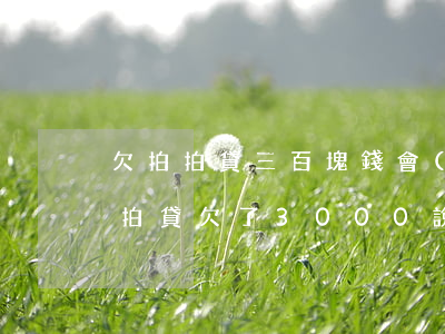 欠拍拍貸三百塊錢會(huì)找上門嗎(拍拍貸欠了3000說上門要賬是真的嗎)