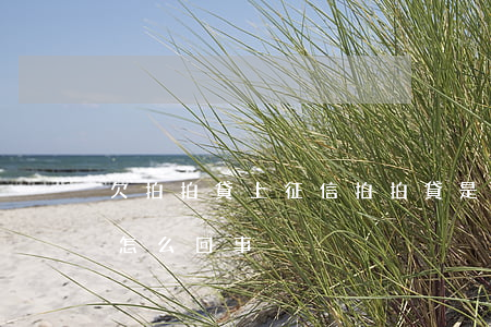 欠拍拍貸上征信(拍拍貸是不是上征信了 這是怎么回事?)