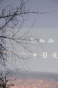 欠拍拍貸不還會(huì)不會(huì)申請支付令-欠拍拍貸不還會(huì)怎么樣,會(huì)凍結(jié)財(cái)產(chǎn)嗎