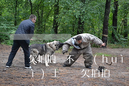 欠拍拍貸不還會(huì)怎么樣會(huì)上門嗎(欠拍拍貸一千多,說要上門是真的嗎?)