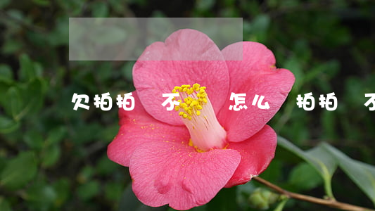 欠拍拍貸不還會怎么樣(拍拍貸不還會怎么辦)