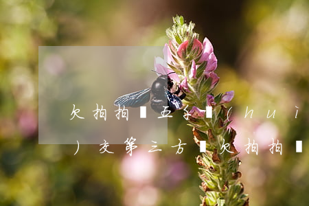 欠拍拍貸五千會(huì)轉(zhuǎn)交第三方嗎(欠拍拍貸五千會(huì)轉(zhuǎn)交第三方嗎)