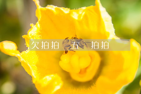 欠拍拍貸五萬(拍拍貸會為了五千塊起訴嗎)