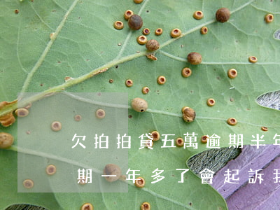 欠拍拍貸五萬逾期半年(欠拍拍貸5000逾期一年多了 會起訴我嗎)