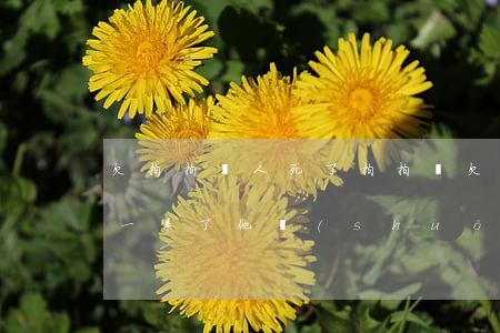 欠拍拍貸人死了(拍拍貸欠幾千會(huì)一年了他說(shuō)要告上法庭)