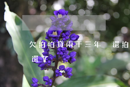 欠拍拍貸兩千三年沒還(拍拍貸一萬多三年沒還了)