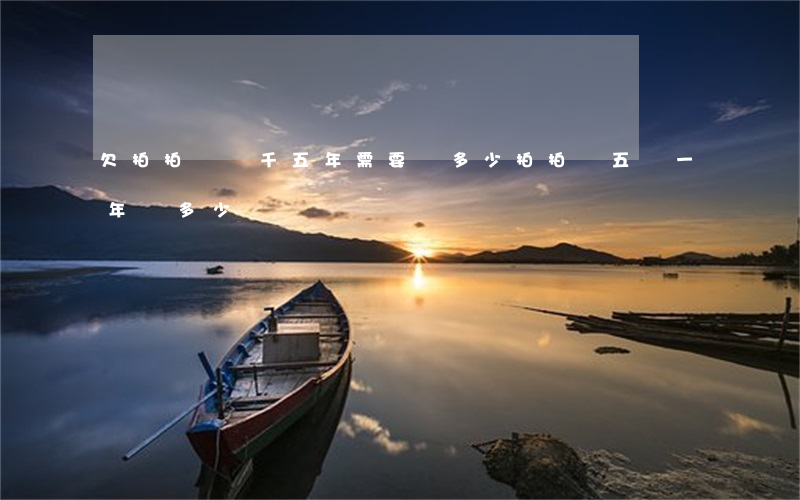 欠拍拍貸兩千五年需要還多少(拍拍貸五萬一年還多少)