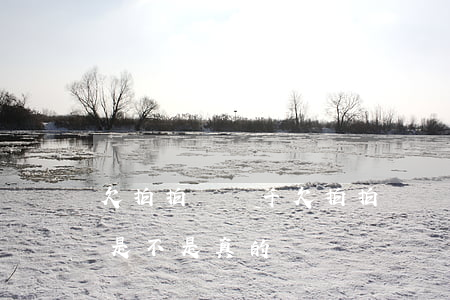 欠拍拍貸兩千(欠拍拍貸兩千元八個月追上門是不是真的)