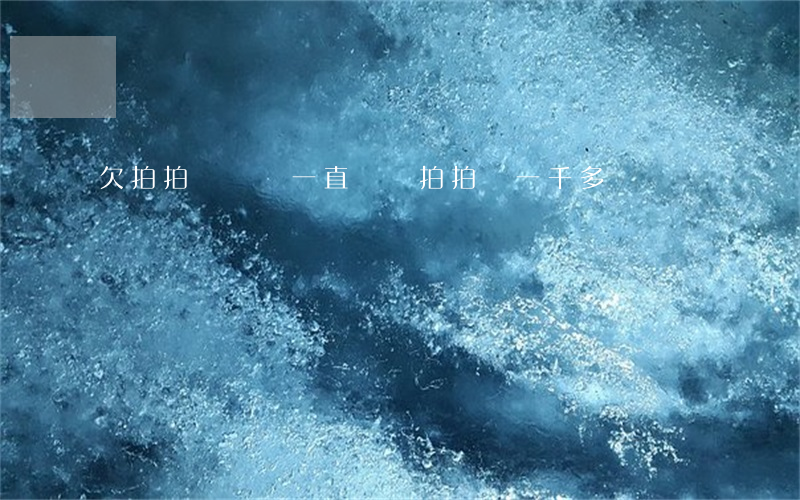 欠拍拍貸兩萬一直沒還(拍拍貸一千多沒還)