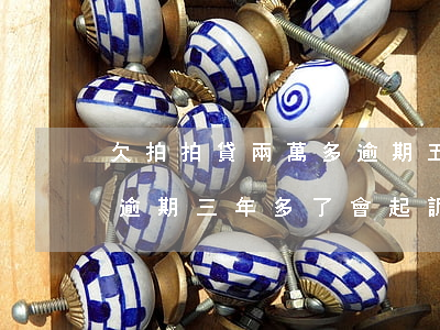 欠拍拍貸兩萬多逾期五年(欠拍拍貸5000逾期三年多了 會起訴我嗎)