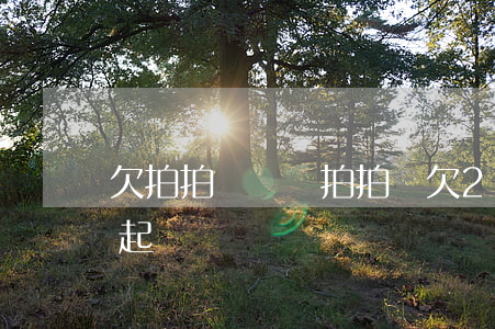欠拍拍貸兩萬(拍拍貸欠2萬說要起訴真的會起訴嗎)