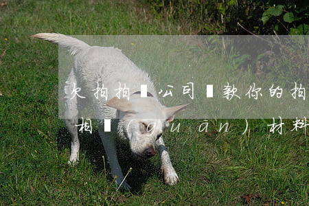 欠拍拍貸公司貸款(你的拍拍貸公司貸款逾期相關(guān)材料已經(jīng)整)
