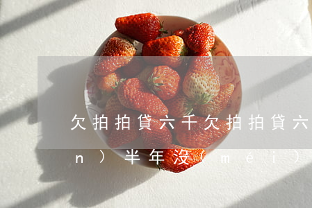 欠拍拍貸六千(欠拍拍貸六千多塊錢(qián)半年沒(méi)還了發(fā)律師函要起訴我怎么辦)
