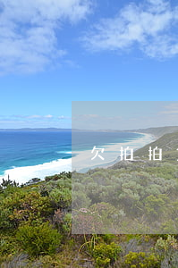 欠拍拍貸分期款不還后果