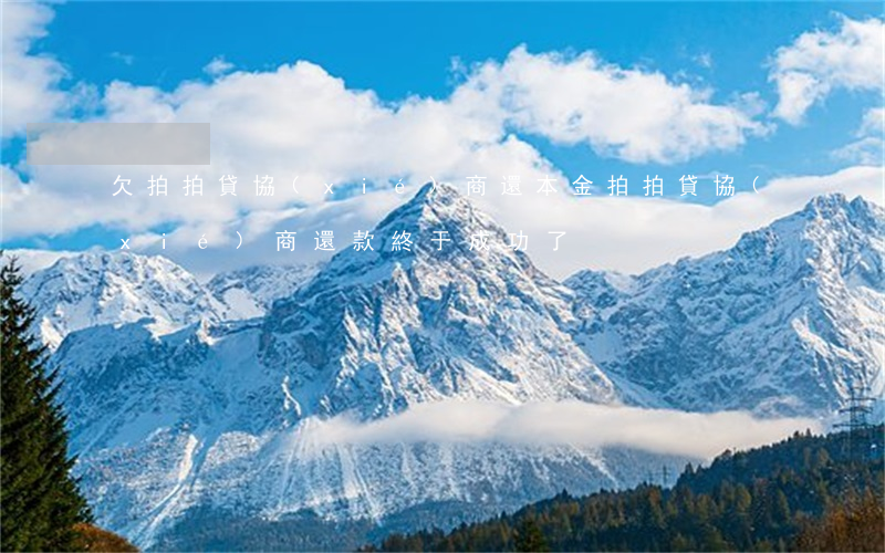 欠拍拍貸協(xié)商還本金(拍拍貸協(xié)商還款終于成功了)