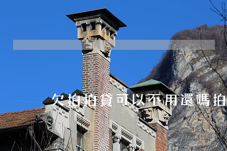欠拍拍貸可以不用還嗎(拍拍貸用不用還了)