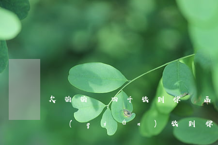 欠拍拍貸四千收到律師函(拍拍貸欠款7千塊錢(qián)收到律師函怎么辦)