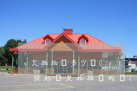 欠拍拍貸多少錢(qián)會(huì)被起訴(欠拍拍貸的錢(qián)逾期了,他們會(huì)起訴我嗎?)