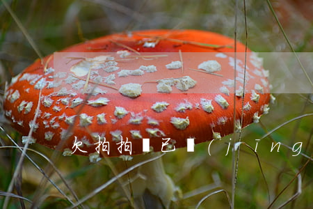 欠拍拍貸已經(jīng)600天上門了