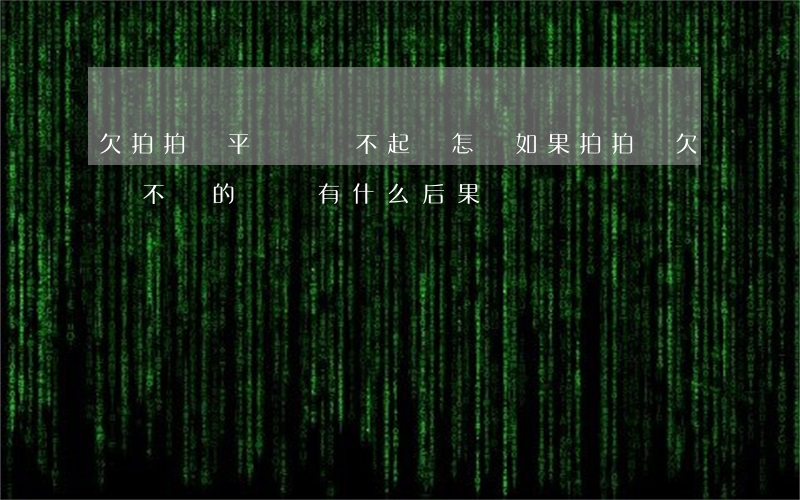 欠拍拍貸平臺錢還不起會怎樣(如果拍拍貸欠錢不還的話會有什么后果)