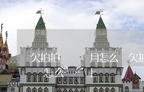 欠拍拍貸幾個月怎么辦(欠拍拍貸不還一年多會怎么樣會上門嗎)