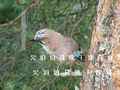 欠拍拍貸幾千塊錢會凍結(jié)微信不(欠拍拍貸幾千塊錢會凍結(jié)微信不)