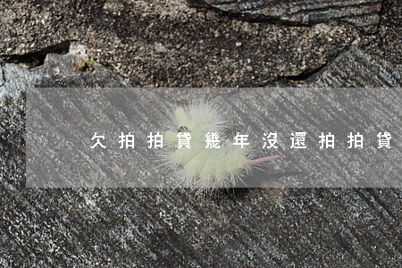 欠拍拍貸幾年沒還(拍拍貸幾年沒還了)