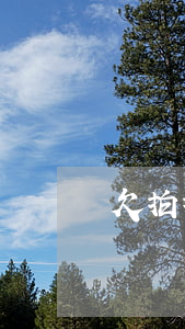 欠拍拍貸幾百塊錢不想還了(拍拍貸還有幾百塊錢沒還會怎么樣)