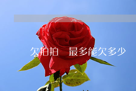 欠拍拍貸最多能欠多少錢(拍拍貸可以欠多久)