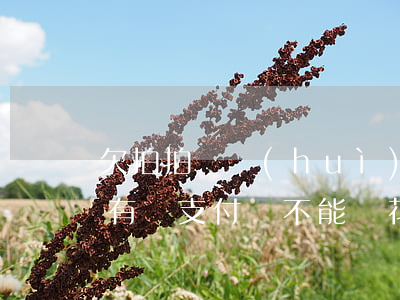 欠拍拍貸會(huì)影響花唄嗎(拍拍貸沒有還,支付寶不能開花唄嗎)