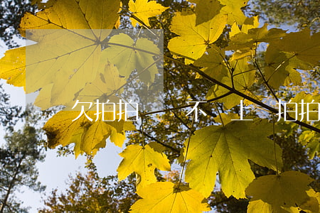 欠拍拍貸會不會上門(拍拍貸不還會不會上家門)