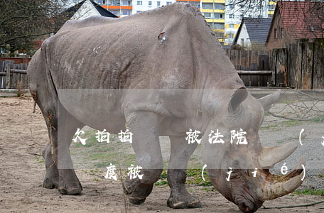 欠拍拍貸會被法院凍結(jié)嗎(拍拍貸額度被凍結(jié))