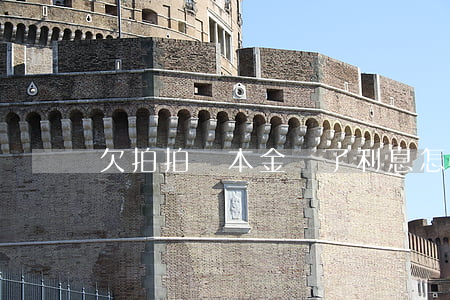 欠拍拍貸本金還了利息怎么算
