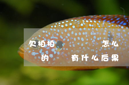 欠拍拍貸沒錢還會怎么樣(如果拍拍貸欠錢不還的話會有什么后果)