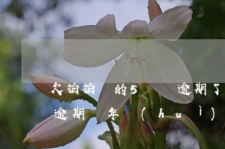 欠拍拍貸的5萬錢逾期了(拍拍貸欠款一千五逾期兩年會(huì)被起訴嗎)