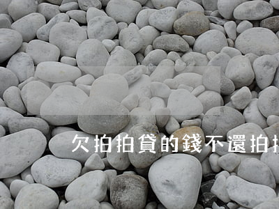 欠拍拍貸的錢不還(拍拍貸的錢不還行嗎)