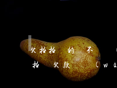 欠拍拍貸的錢不還會(huì)怎樣(我在拍拍貸欠款兩萬(wàn)沒(méi)還,會(huì)有什么后果)