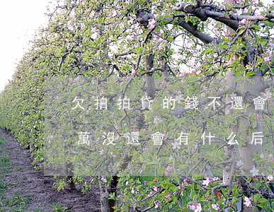 欠拍拍貸的錢不還會怎樣(我在拍拍貸欠款兩萬沒還,會有什么后果)