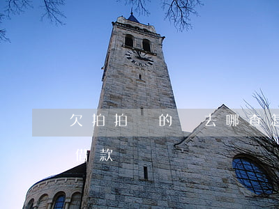 欠拍拍貸的錢去哪查(怎么查在拍拍貸有沒有借款)