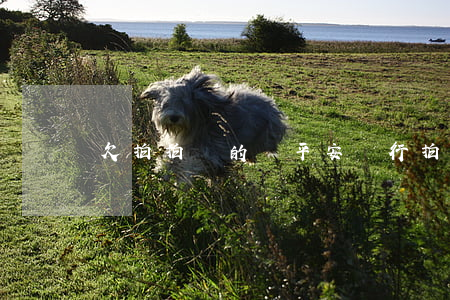 欠拍拍貸的錢平安銀行(拍拍貸下款)