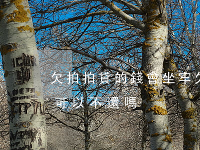 欠拍拍貸的錢會坐牢(欠拍拍貸的錢,利息太高,可以不還嗎?)