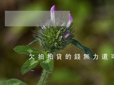 欠拍拍貸的錢無力還可以協(xié)商嗎-